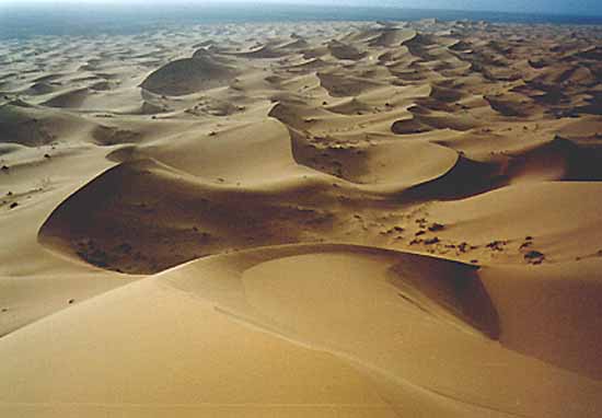 woestijnduinen